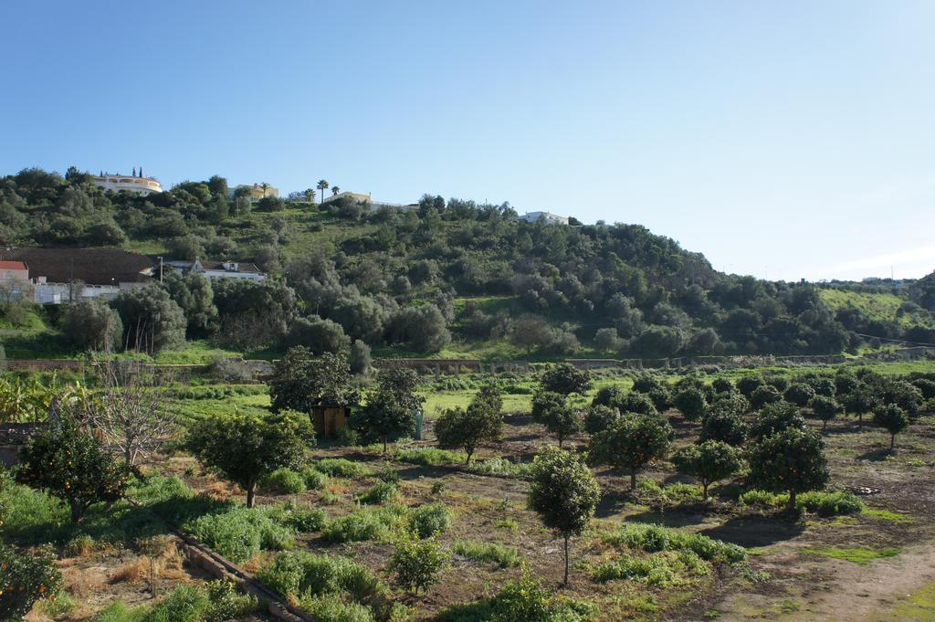 Horta Grande Hotel Silves Exterior photo